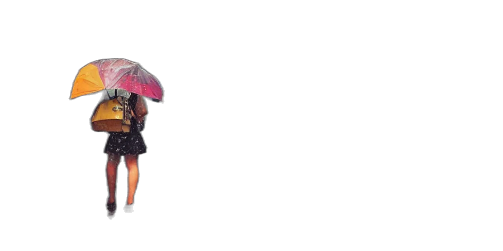 umbrella, dress, jacket, hat transparent PNG cut-out