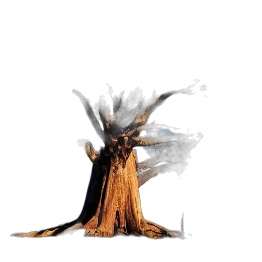 staff, dragon, tree, hair transparent PNG cut-out