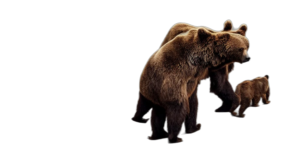 animal, photorealistic, concept art, 3d render, brown, bear, tzar, cannon transparent PNG cut-out