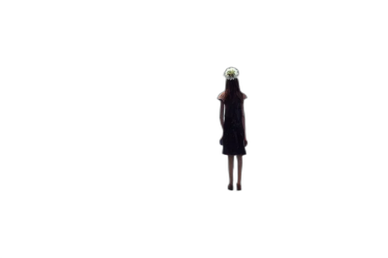 dress, hat, robot, staff, pixel art, concept art, 3d render, anime transparent PNG cut-out