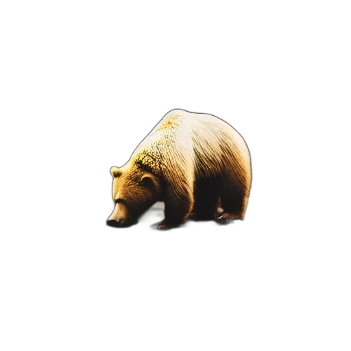 animal, creature, hat, food transparent PNG cut-out