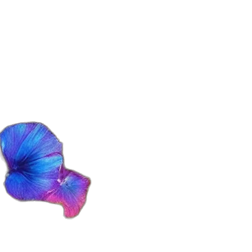 flower, umbrella, hat, animal, vaporwave, 3d render, pixel art, concept art transparent PNG cut-out