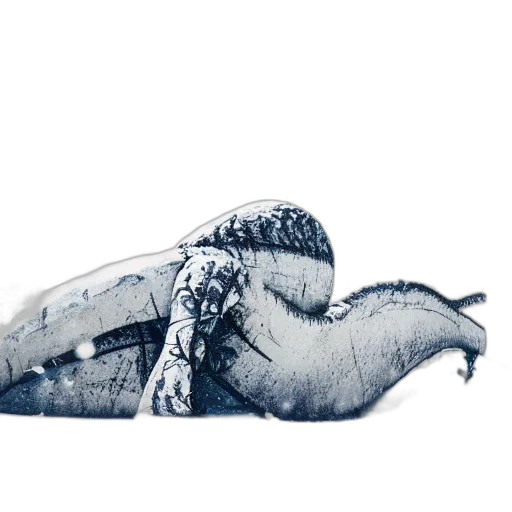 animal, dragon, creature, shoes, concept art, photorealistic, pencil sketch, watercolor transparent PNG cut-out