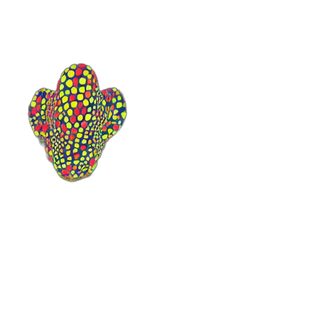 shoes, crown, jewelry, umbrella transparent PNG cut-out