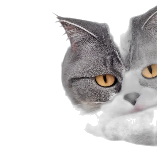 photorealistic, 3d render, concept art, vaporwave transparent PNG cut-out