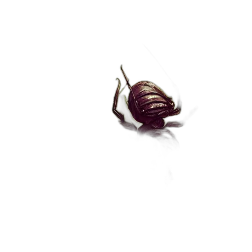 creature, animal, hair, food transparent PNG cut-out