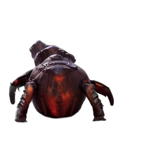 creature, animal, mask, crown, 3d render, concept art, photorealistic, johan transparent PNG cut-out