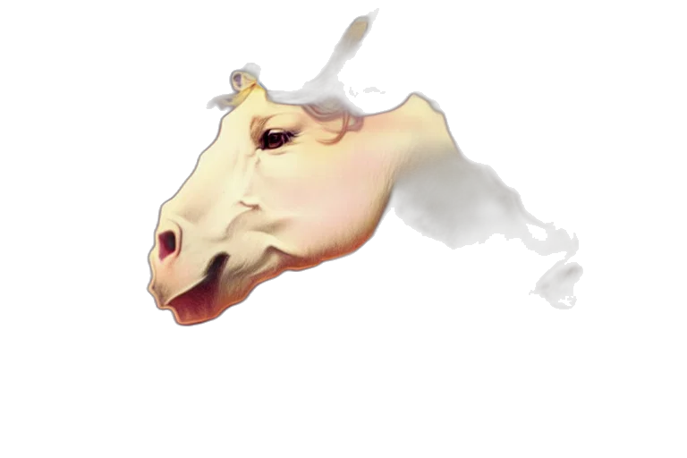 dragon, mask, creature, animal transparent PNG cut-out