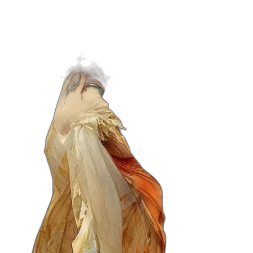 dress, hair, jacket, dragon transparent PNG cut-out