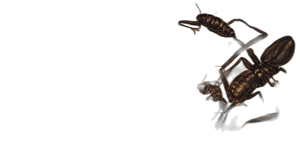 animal, creature, dragon, staff transparent PNG cut-out