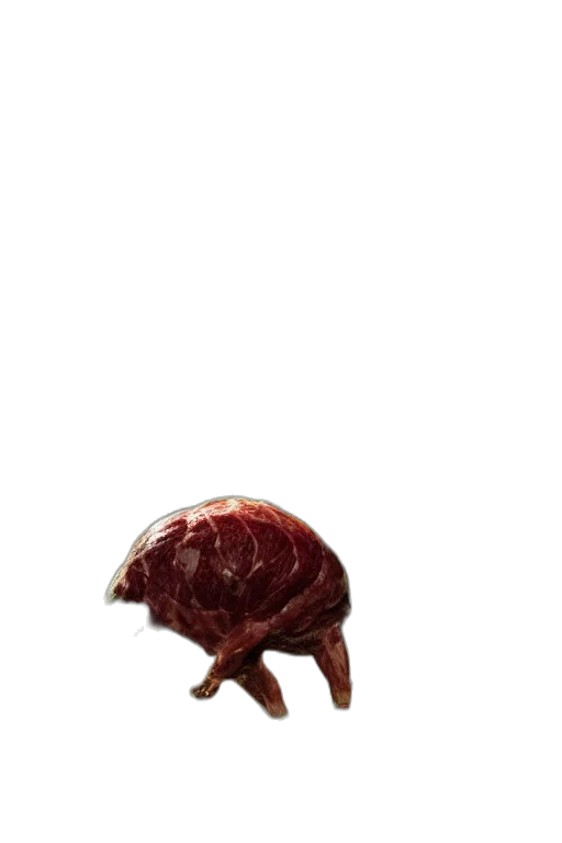 animal, creature, food, hair, concept art, 3d render, photorealistic, pixel art transparent PNG cut-out