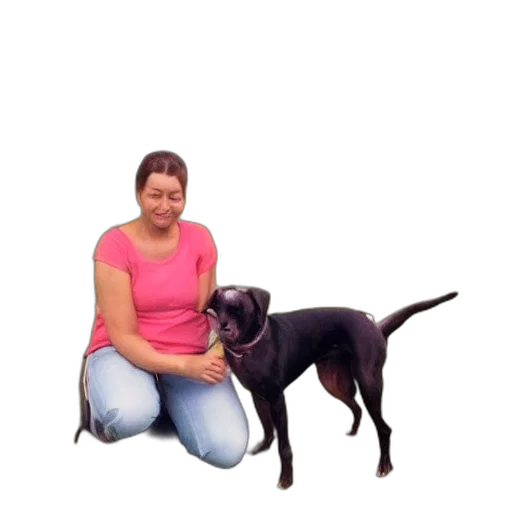 animal, staff, creature, photorealistic, pixel art, 3d render, concept art, dog transparent PNG cut-out