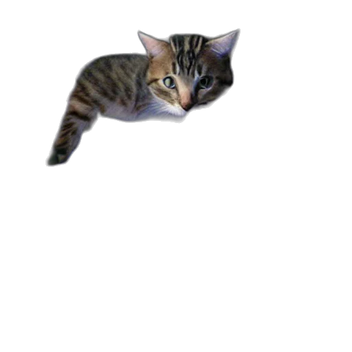animal, staff, creature, weapon transparent PNG cut-out
