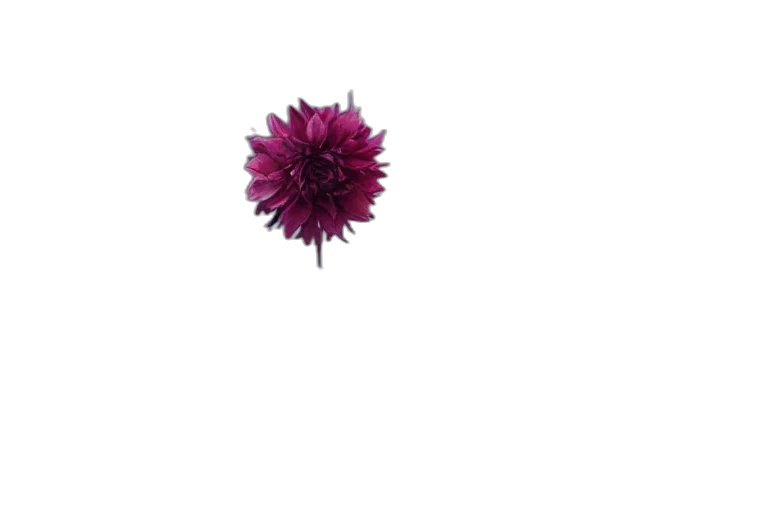 flower, staff, crown, hair, 3d render, photorealistic, pixel art, concept art transparent PNG cut-out