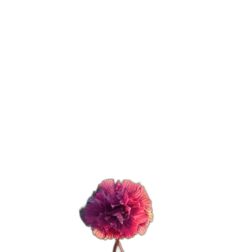 flower, crown, umbrella, jewelry transparent PNG cut-out