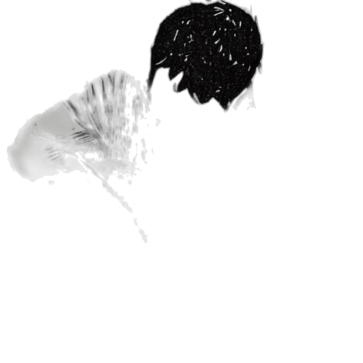 hair, mask, crown, face transparent PNG cut-out