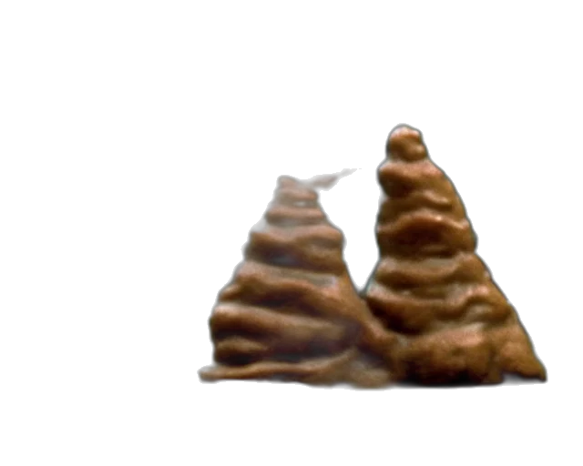 crown, food, hat, tree transparent PNG cut-out