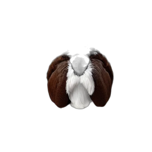 hair, animal, jewelry, jacket, 3d render, photorealistic, pixel art, concept art transparent PNG cut-out