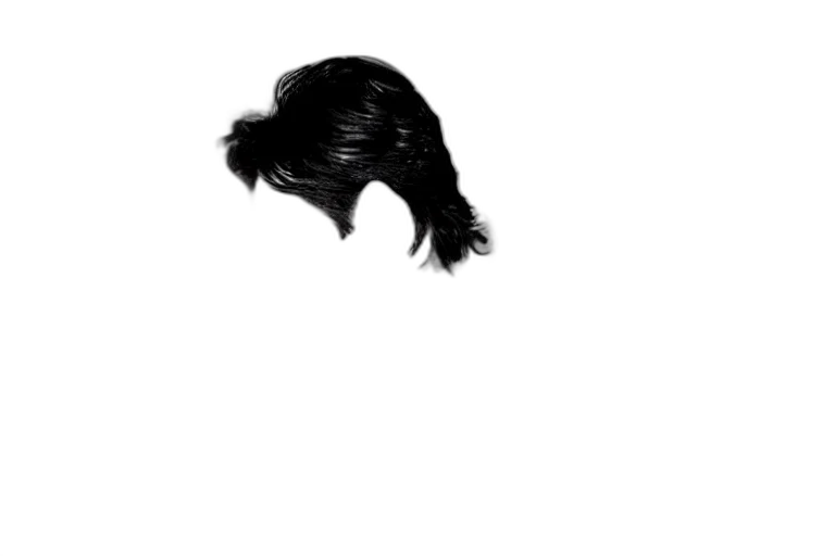 hair, animal, hat, face transparent PNG cut-out