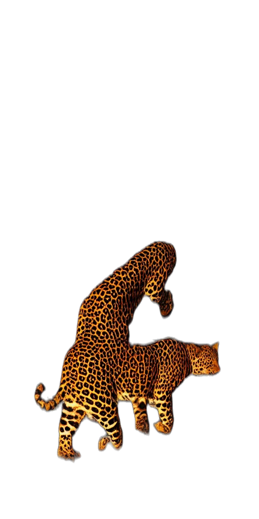animal, creature, staff, shoes, 3d render, concept art, photorealistic, pixel art transparent PNG cut-out