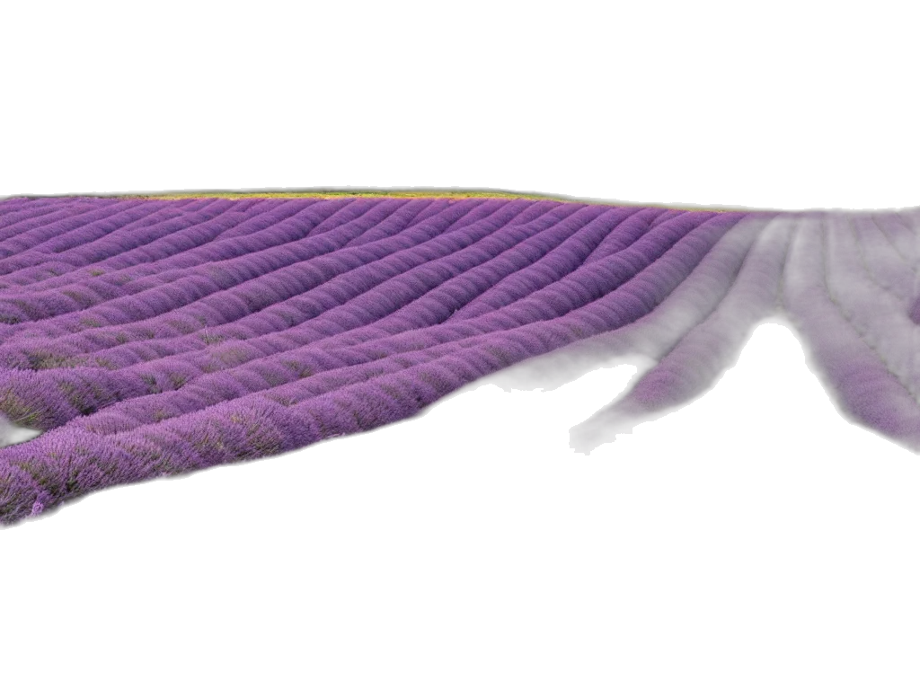 hair, umbrella, hat, sword, 3d render, vaporwave, lavender, fields transparent PNG cut-out
