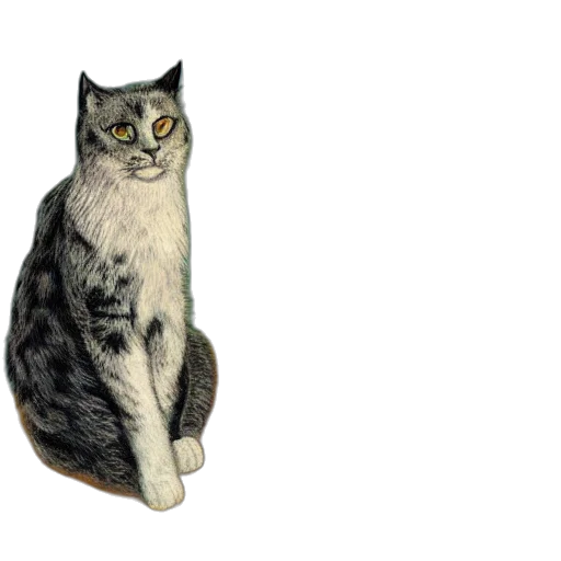 animal, staff, creature, robot transparent PNG cut-out