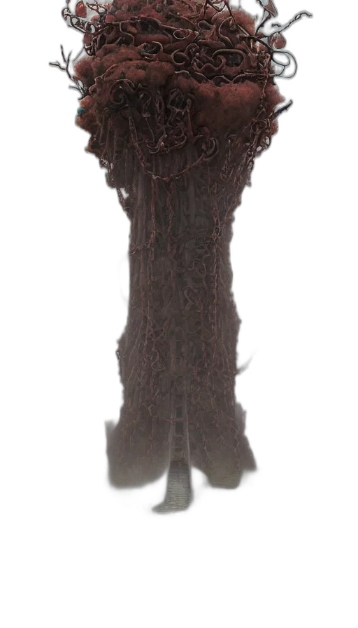 hair, dress, staff, hat transparent PNG cut-out
