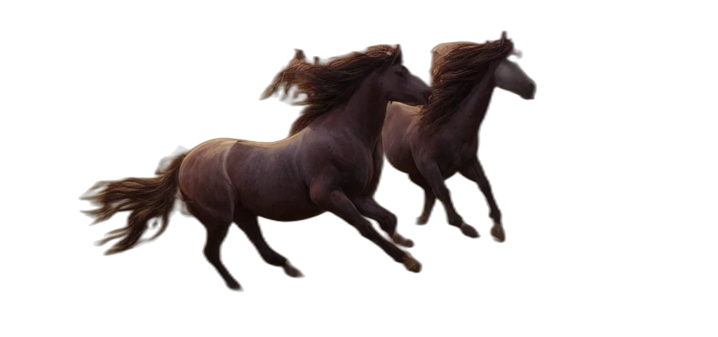 animal, hair, creature, dragon transparent PNG cut-out