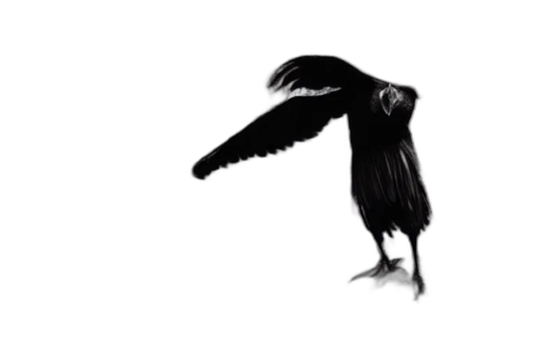 animal, creature, staff, hair transparent PNG cut-out