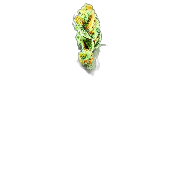 jewelry, flower, crown, food transparent PNG cut-out