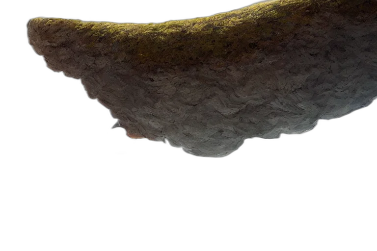 sword, hair, staff, weapon transparent PNG cut-out