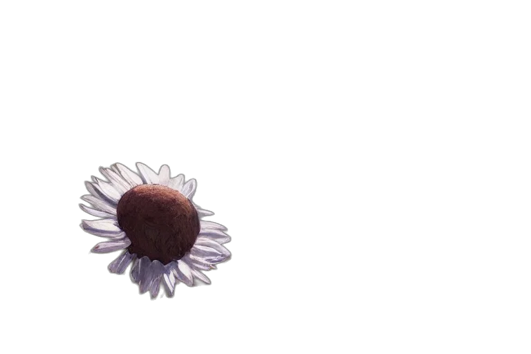 flower, crown, hair, jewelry, 3d render, photorealistic, pixel art, watercolor transparent PNG cut-out