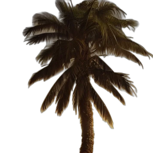 tree, umbrella, hair, hat transparent PNG cut-out