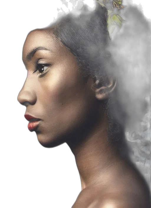 face, crown, jewelry, hair transparent PNG cut-out