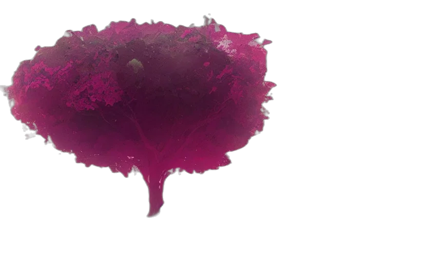 crown, flower, tree, hair, concept art, 3d render, dark, red transparent PNG cut-out
