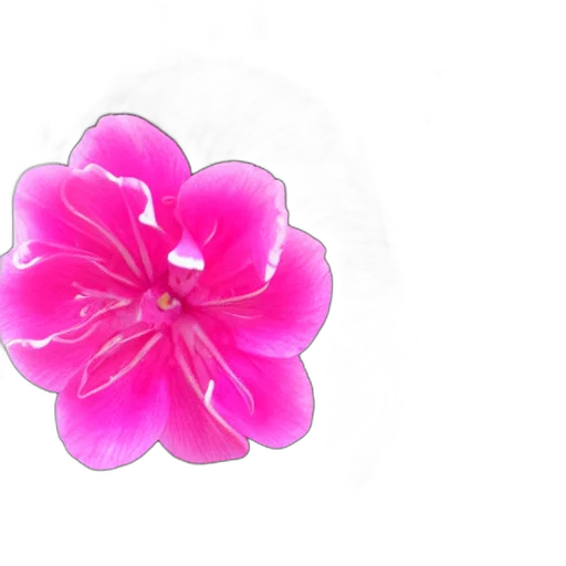 flower, jewelry, crown, staff, 3d render, photorealistic, concept art, pixel art transparent PNG cut-out