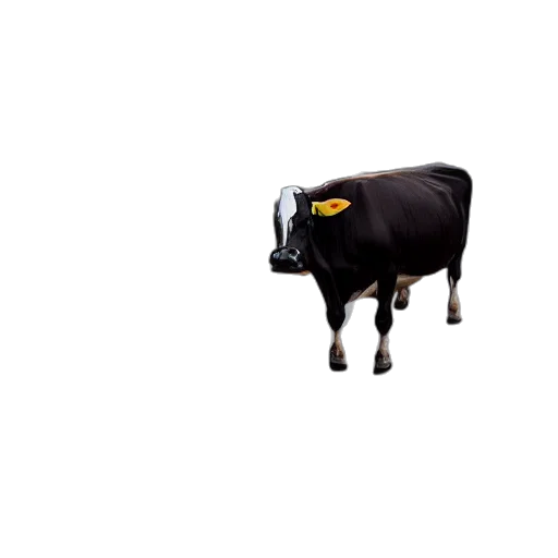 animal, robot, food, hat, pixel art, 3d render, concept art, photorealistic transparent PNG cut-out