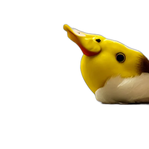 animal, hat, creature, food transparent PNG cut-out