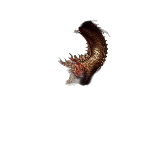 dragon, creature, hair, animal transparent PNG cut-out