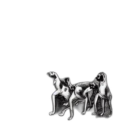 jewelry, animal, furniture, crown transparent PNG cut-out
