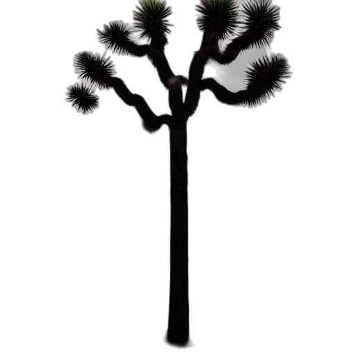 tree, staff, crown, hair transparent PNG cut-out