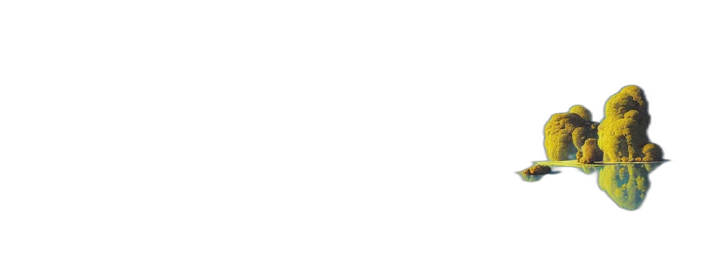 staff, face, monochrome, pastel transparent PNG cut-out