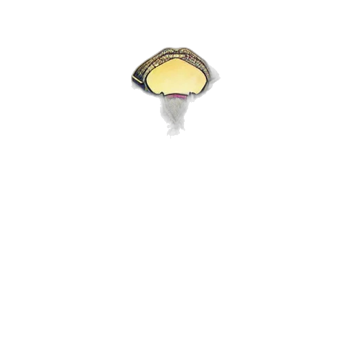 jewelry, crown, hat, staff, 3d render, photorealistic, pixel art, golden transparent PNG cut-out