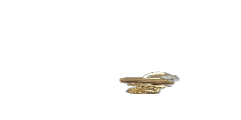 jewelry, shoes, crown, furniture transparent PNG cut-out