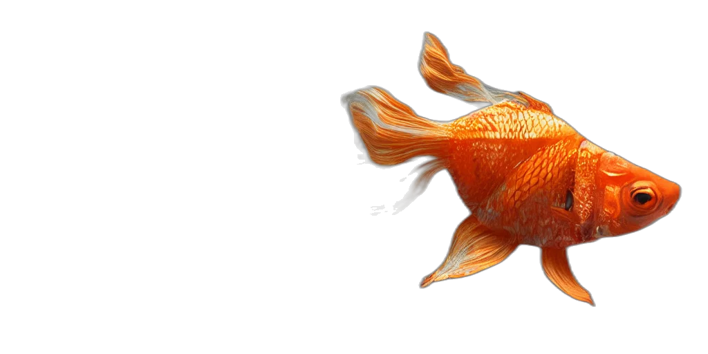 animal, creature, food, staff, photorealistic, 3d render, concept art, underwater transparent PNG cut-out