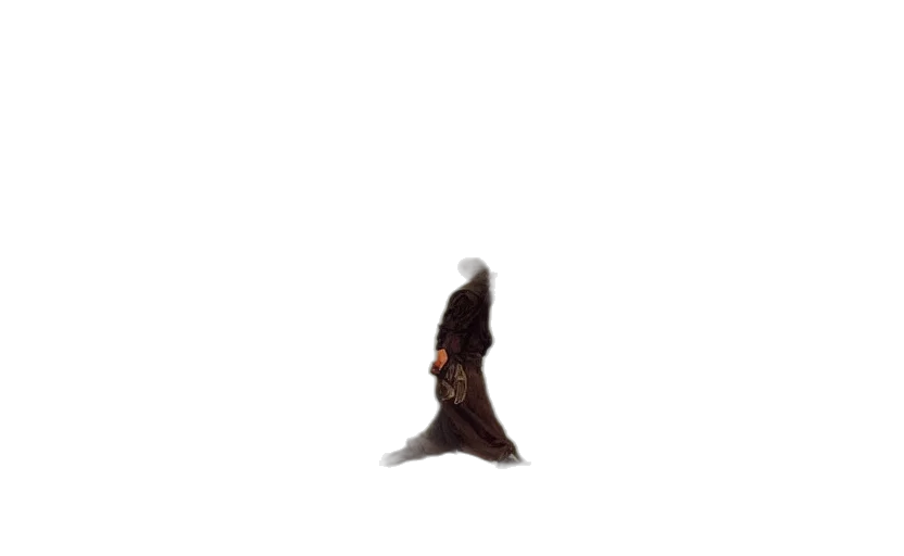 staff, dress, hair, hat transparent PNG cut-out