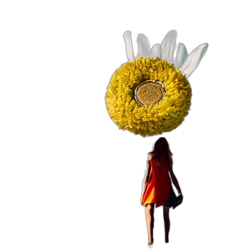 flower, dress, crown, umbrella transparent PNG cut-out
