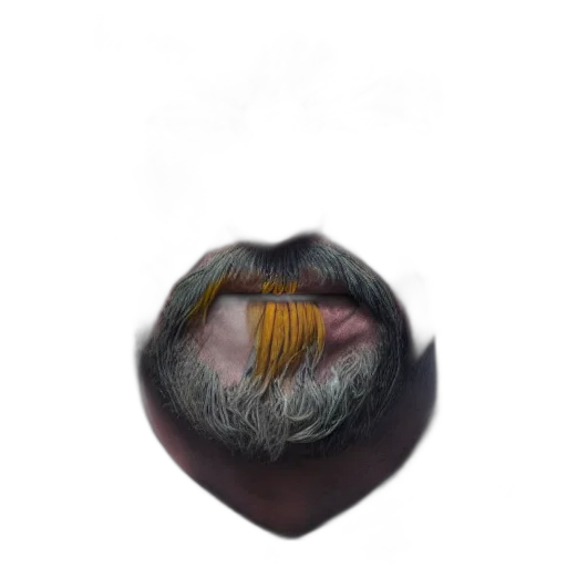 hair, mask, face, creature, photorealistic, concept art, watercolor, 3d render transparent PNG cut-out
