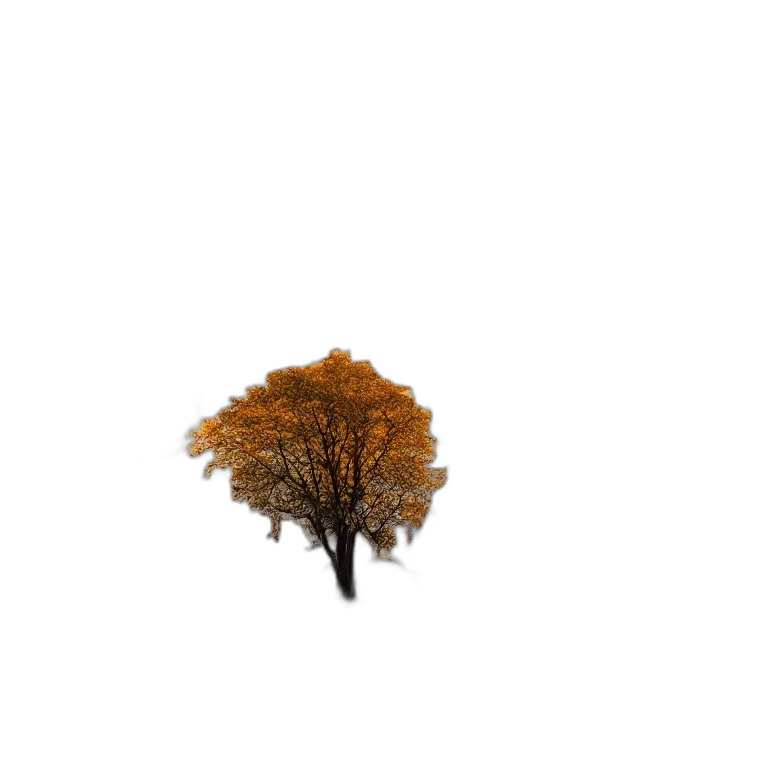 tree, crown, hat, hair, 3d render, photorealistic, pixel art, concept art transparent PNG cut-out