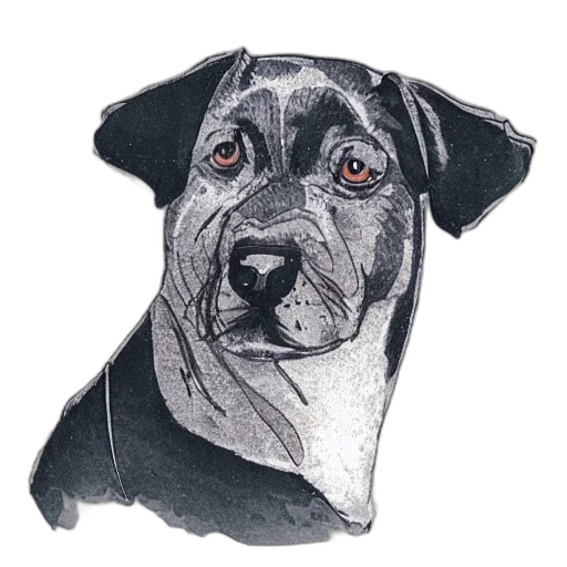 animal, face, staff, photorealistic transparent PNG cut-out